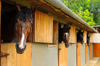 free Netherraw stable construction quotes